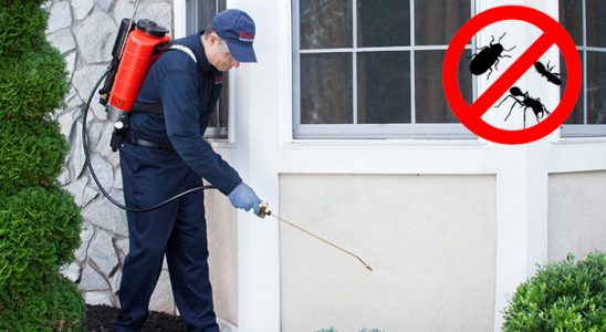 Kofçaz Dezenfeksiyon böcek ilaçlama ve haşere kontrolü — ilaclama-tr.com